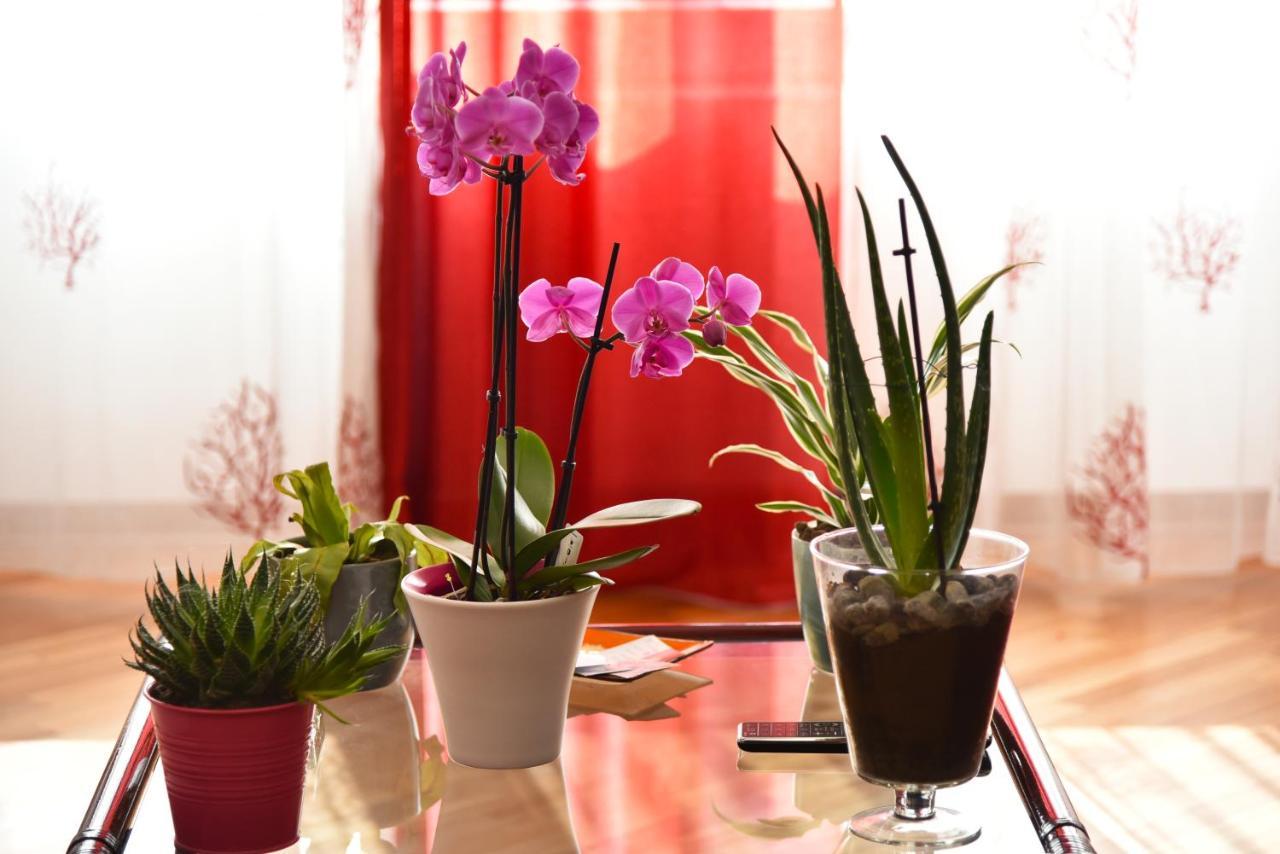 Guest house Amalfi Coast Salerno